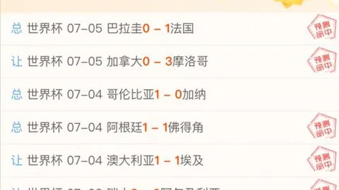 梅西足球生涯动力：特维斯助力，2026展望